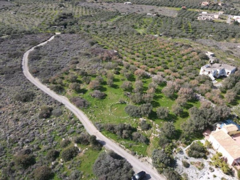 Milatos Kreta, Milatos: Baugrundstück im Zentrum in Meeresnähe zu verkaufen Grundstück kaufen